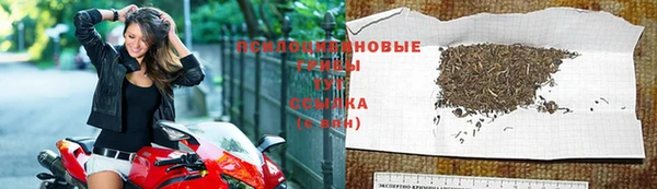 соль курить ск Богданович
