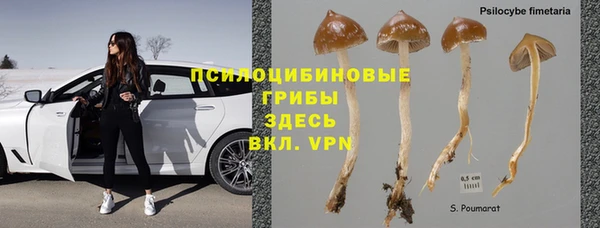 прущие крисы Богородск