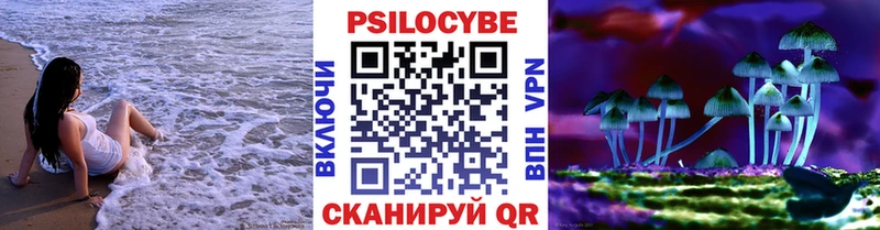 Псилоцибиновые грибы Psilocybe  наркошоп  Богданович 