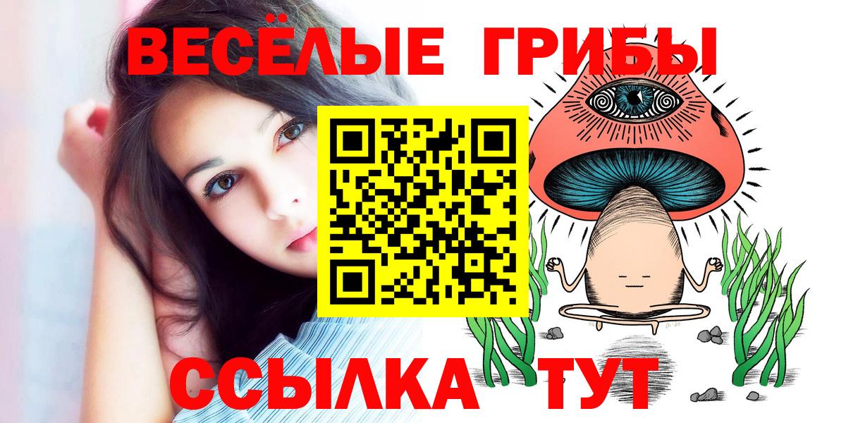 Псилоцибиновые грибы Psilocybe  Галлюциногенные грибы Psilocybe  Вход с VPN  Богданович 