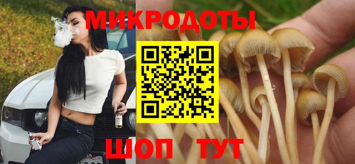 Псилоцибиновые грибы мухоморы  Богданович  Галлюциногенные грибы MAGIC MUSHROOMS 